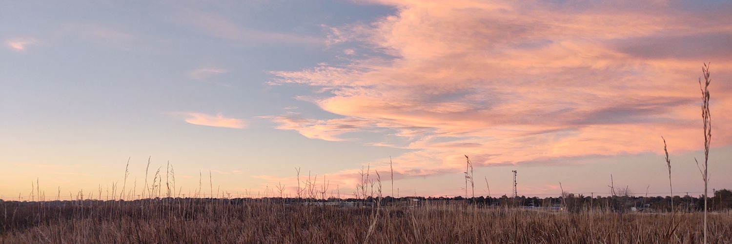 DorkForBlue's profile banner image