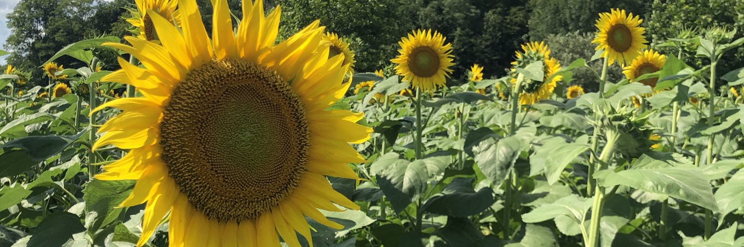 MichalTreadway's profile banner image