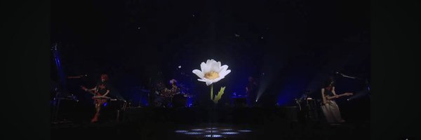 over_chrome Profile Banner