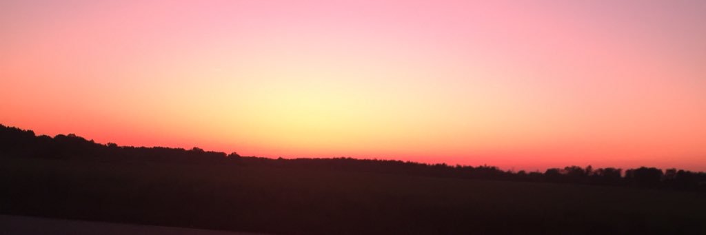 FalconerFlowers's profile banner image