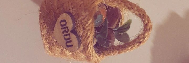 eskifame's profile banner image