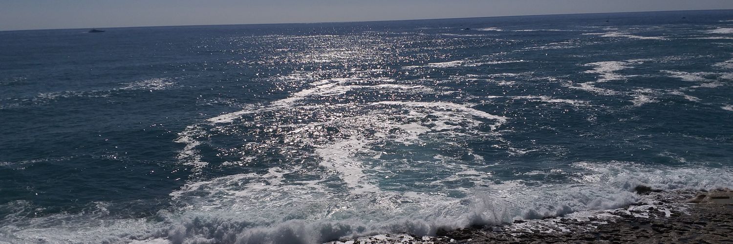 siloul_e's profile banner image