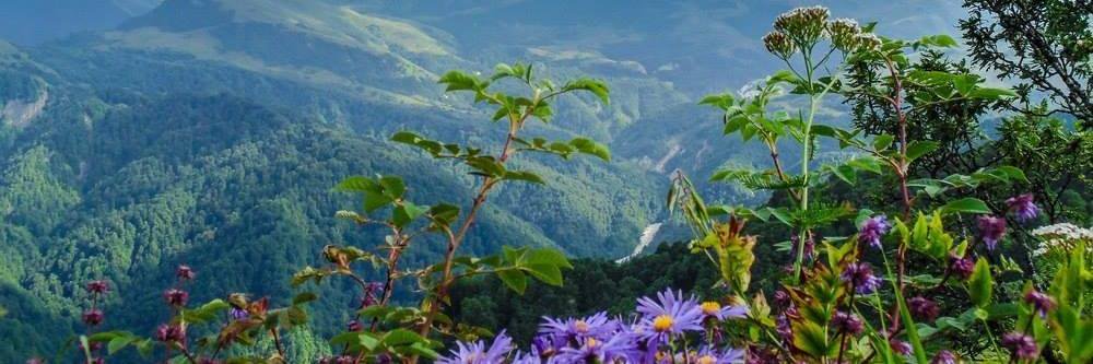 omersari56's profile banner image