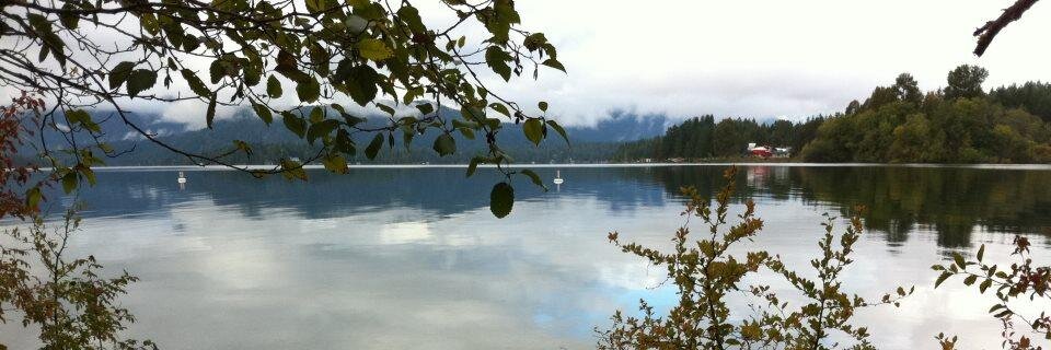 McSquill's profile banner image