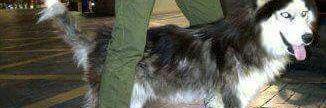 farb522's profile banner image