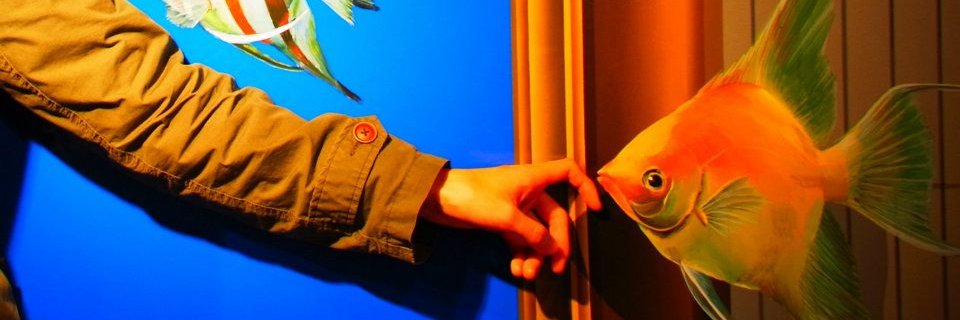 paprika_pasta's profile banner image