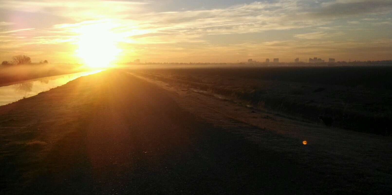 LBrownPT's profile banner image