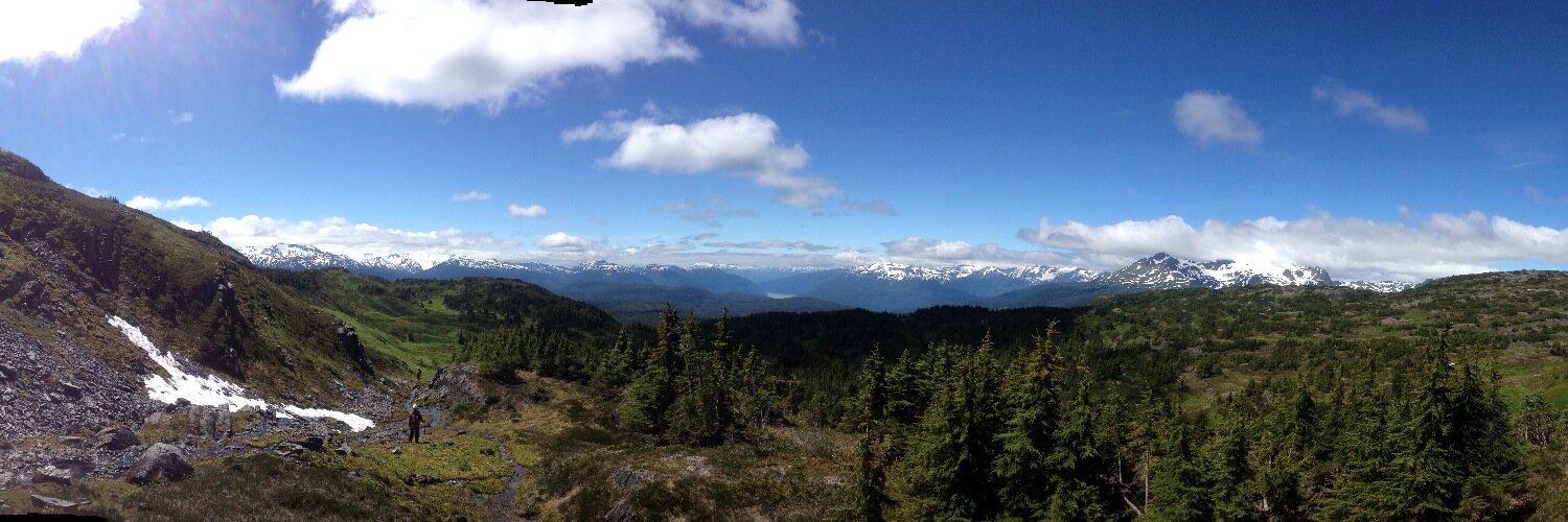 Kleanza Consulting banner