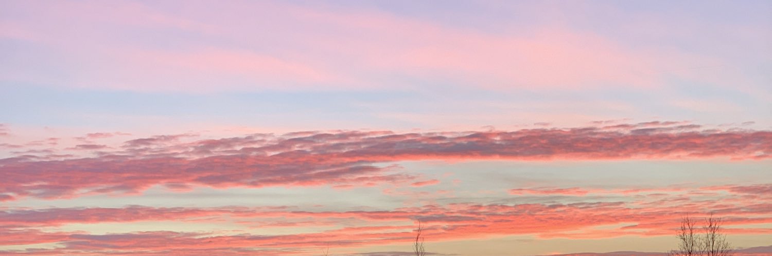 _Remzer_'s profile banner image