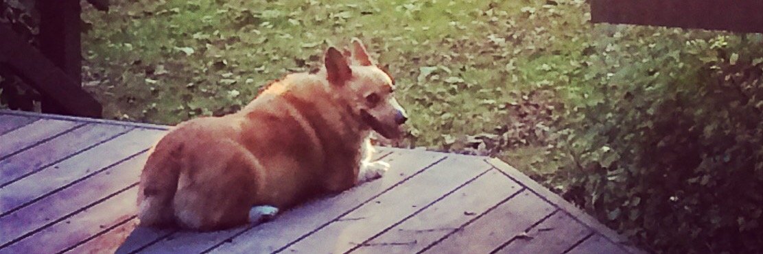 frankthecorg's profile banner image