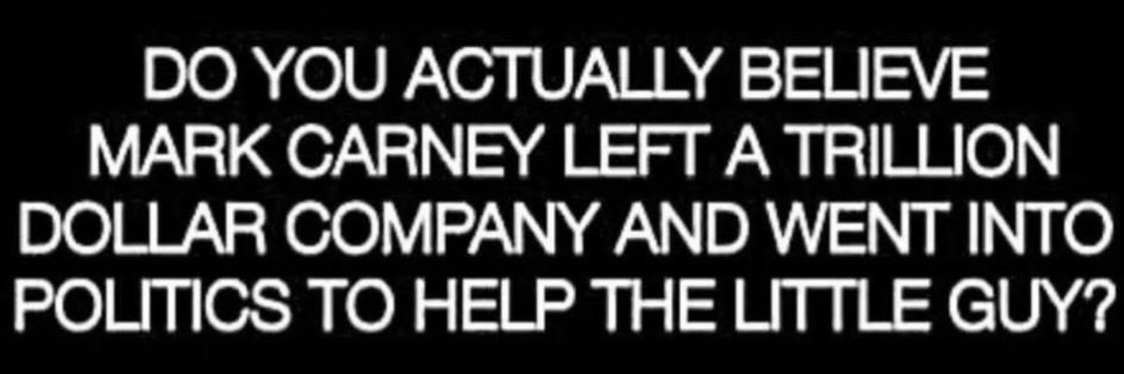 TruthLion🇨🇦🐈🐈‍⬛ banner