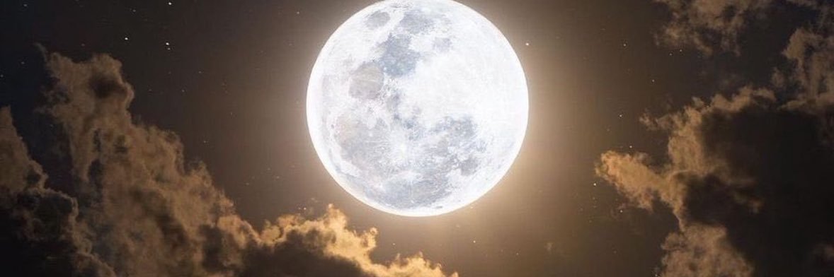 SelcanYurtcu's profile banner image