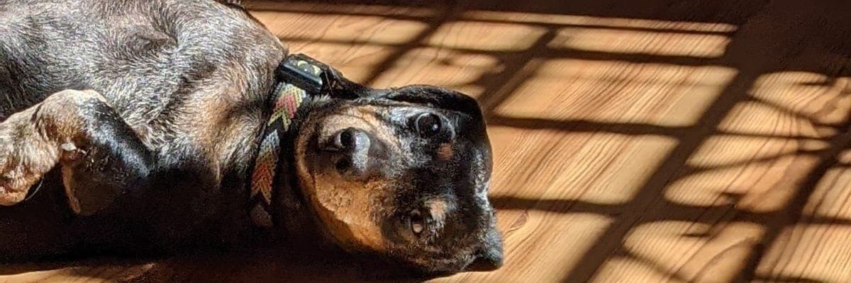 aleechp_'s profile banner image