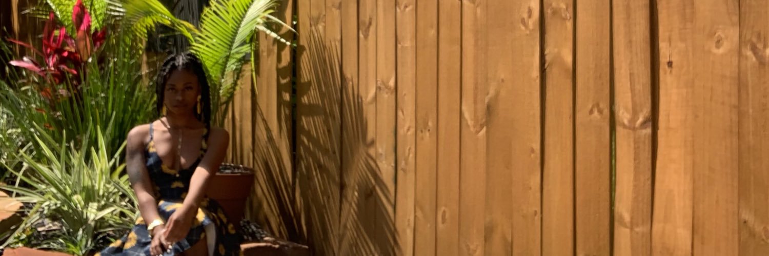 briyaunaj's profile banner image
