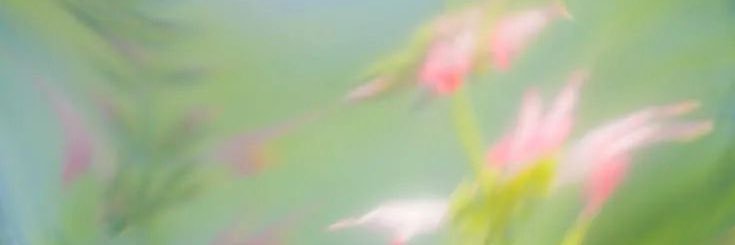 ᴰ ᴴ ᴬᴿ. ᴸ •؎ • banner