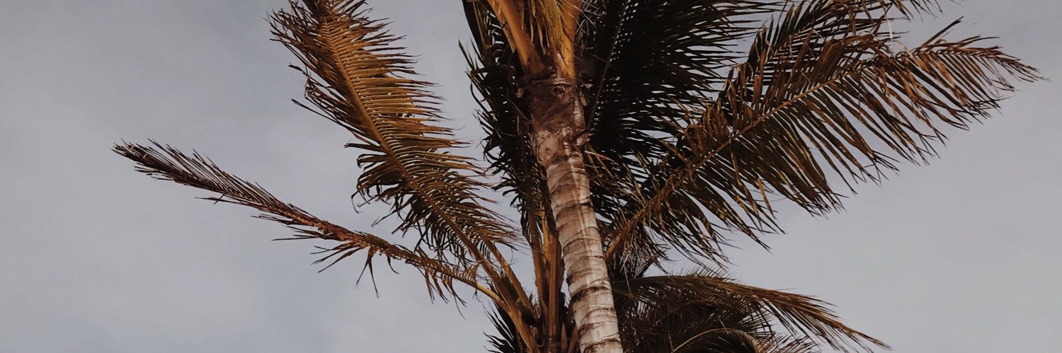 21sammyjohnson's profile banner image