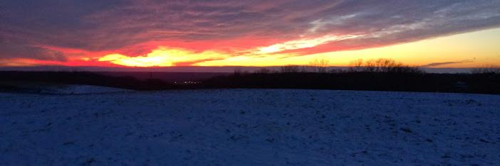 Rachel Scholze banner