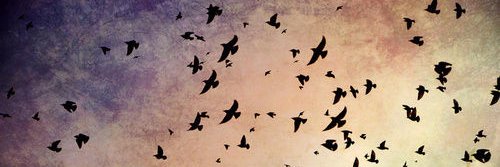 _githeada's profile banner image