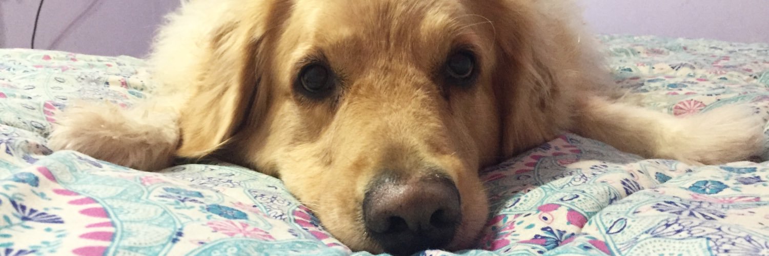 Caroacortinez's profile banner image