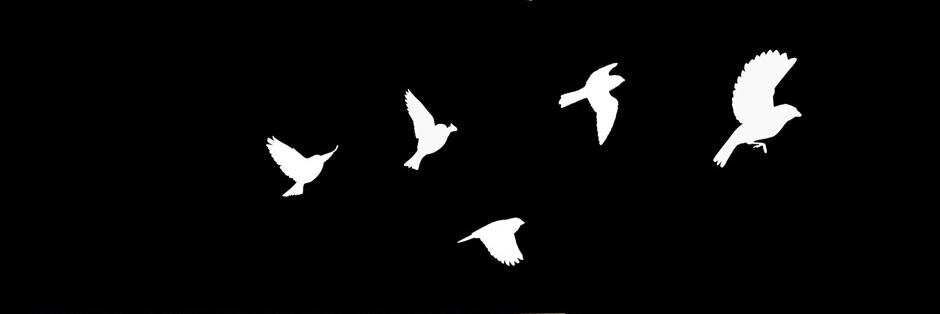 debbie_becker's profile banner image