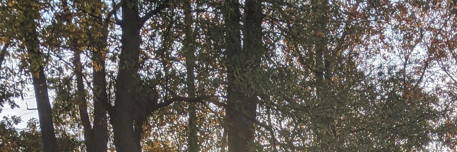 averybattymind's profile banner image