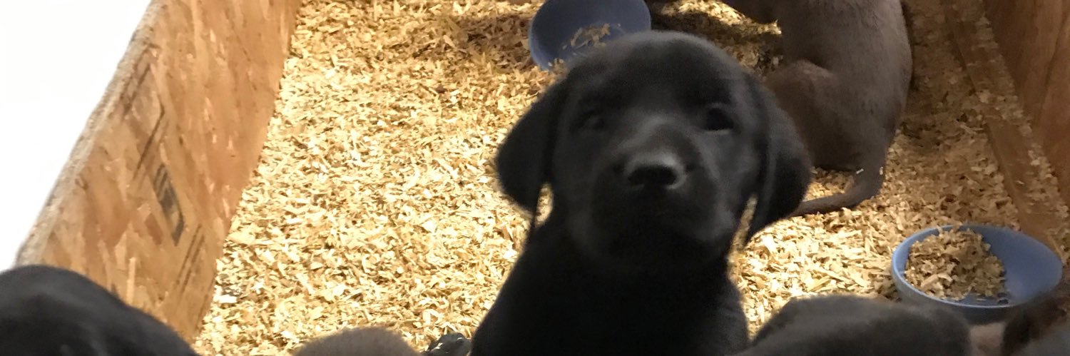 bennick121's profile banner image