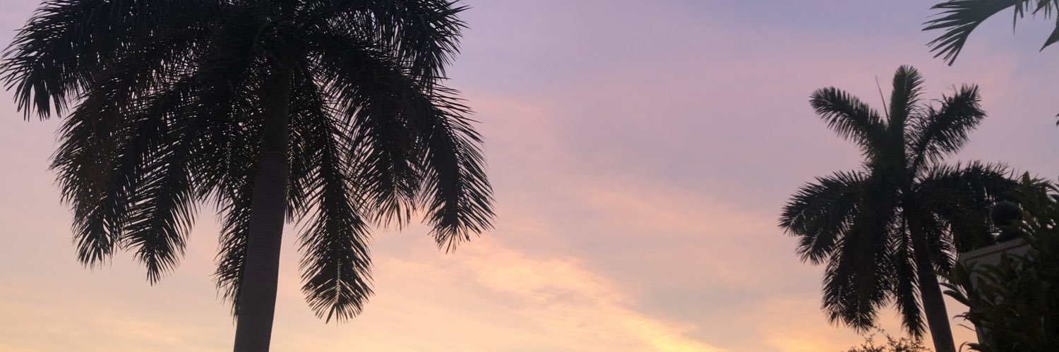 Artemis banner