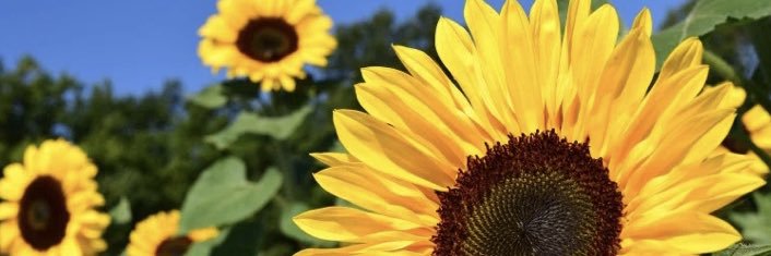 murph_tweet's profile banner image