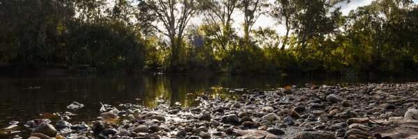 xave_55 Profile Banner