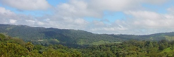 krapde Profile Banner