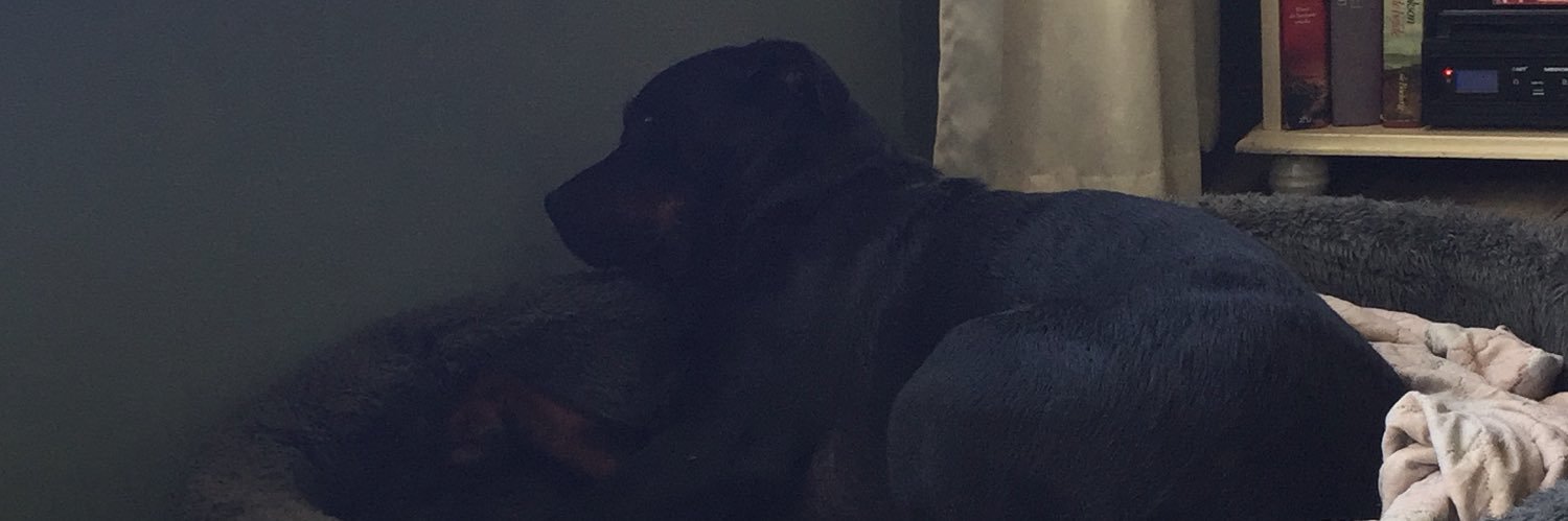 sytscke's profile banner image