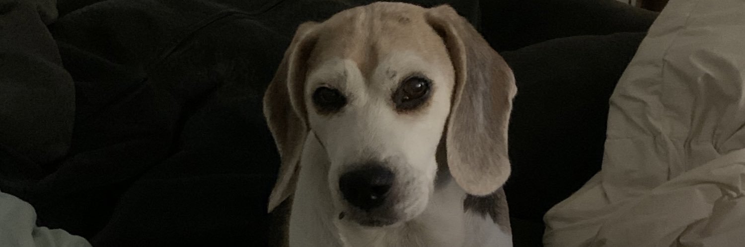 jscheibes's profile banner image