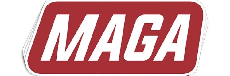 StopBigTech2020's profile banner image