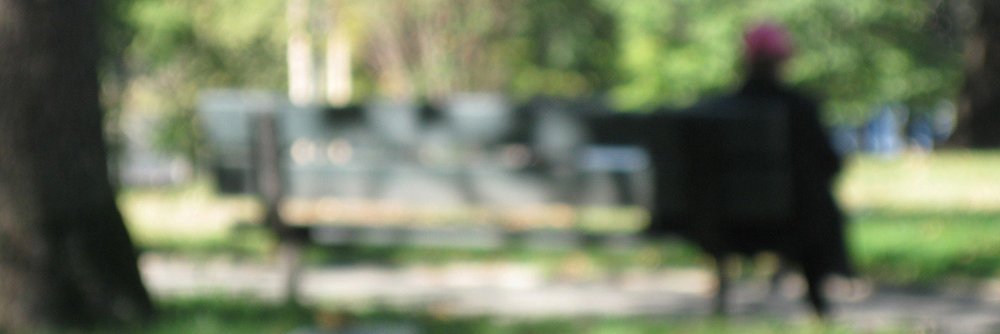 NancyRuhling's profile banner image