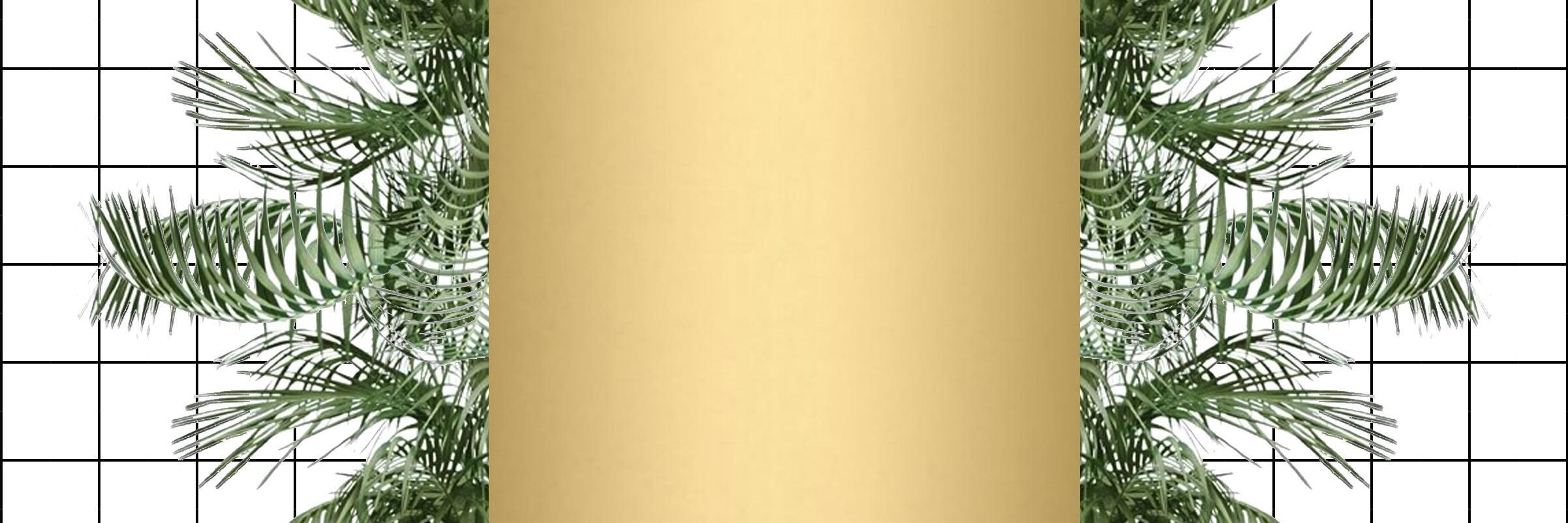 EleonoraFoti's profile banner image
