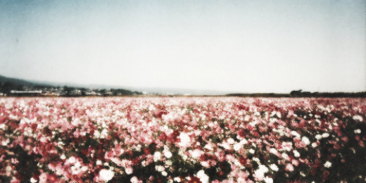 Putz_lily's profile banner image