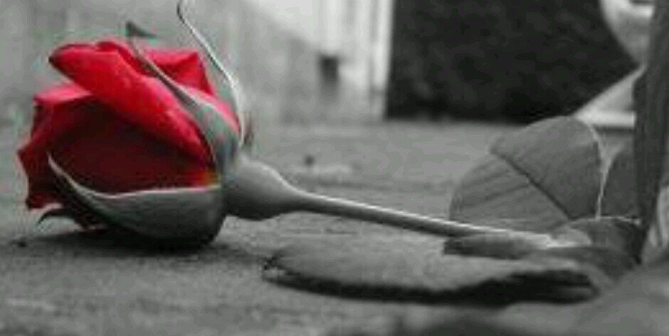 همسات المطر banner