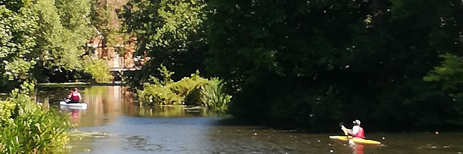 DebReynolds14's profile banner image