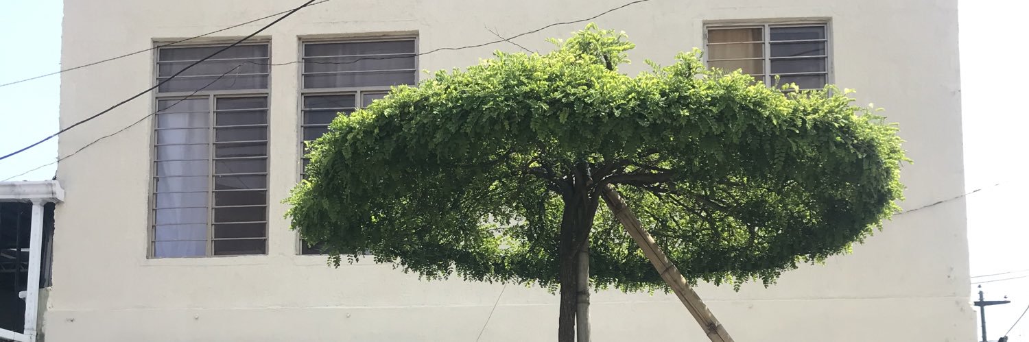 mateoRaBu's profile banner image