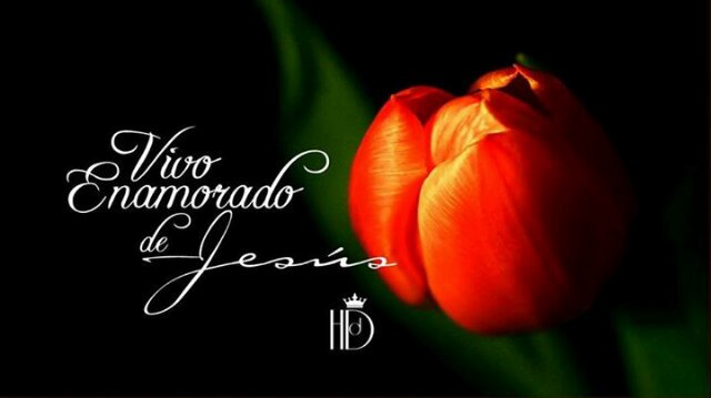 leslie diaz daga banner
