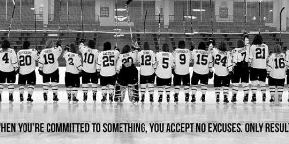 Tarraneh Dadgar banner