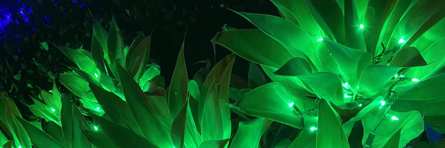 EmilyKate157's profile banner image
