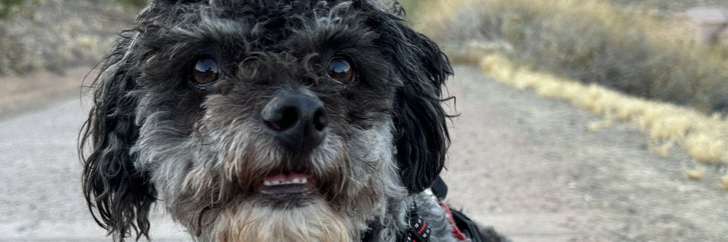 gregfresquez's profile banner image