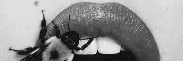 heatherlenette's profile banner image