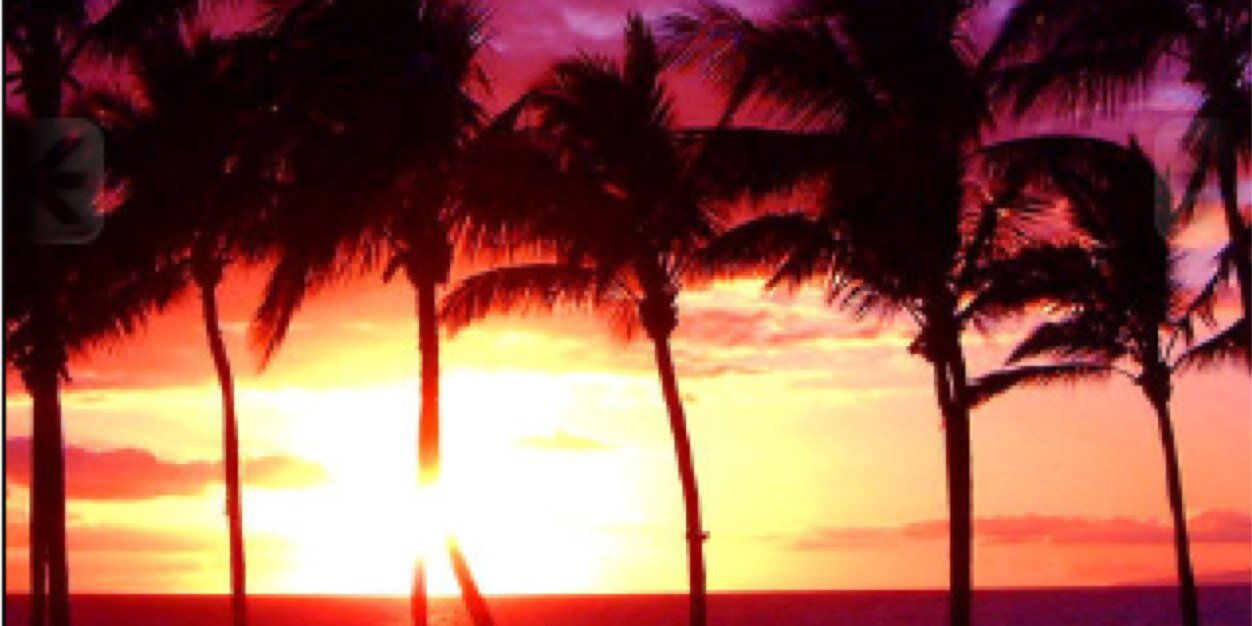 biotcheslove's profile banner image