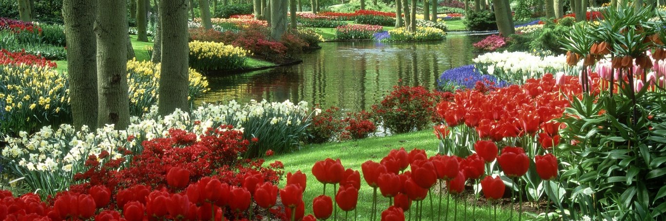 lecong (💙,🧡) banner