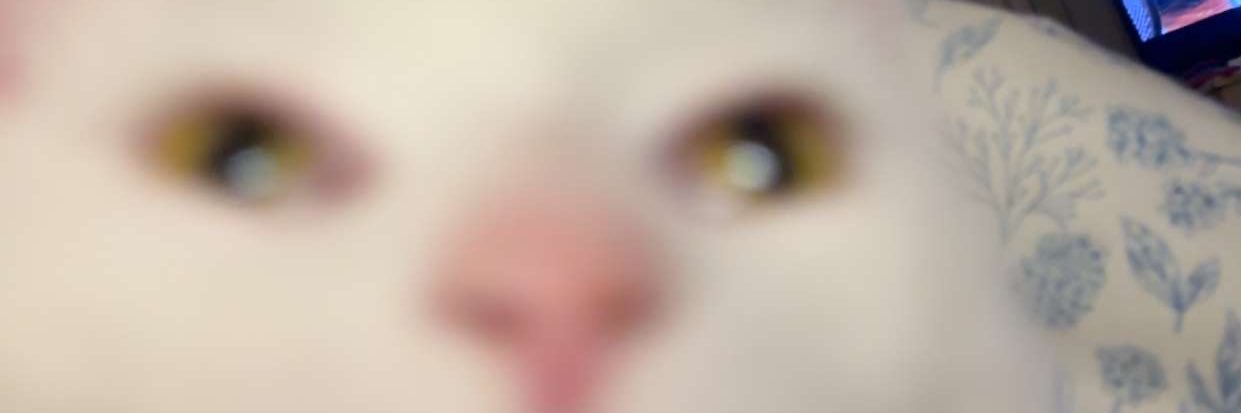 juliaflanery's profile banner image