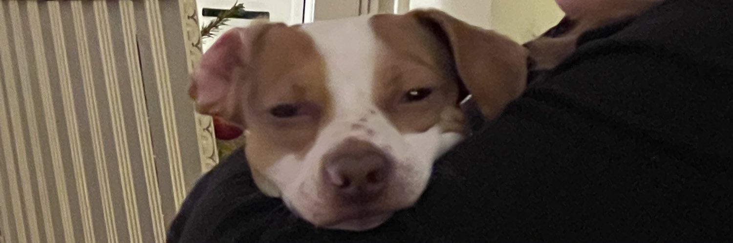 AnaBanana🌸 banner