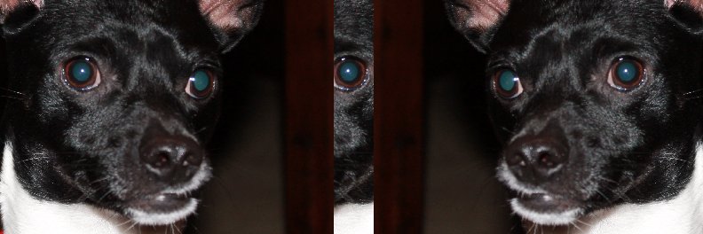 TM_MoosieMoose's profile banner image
