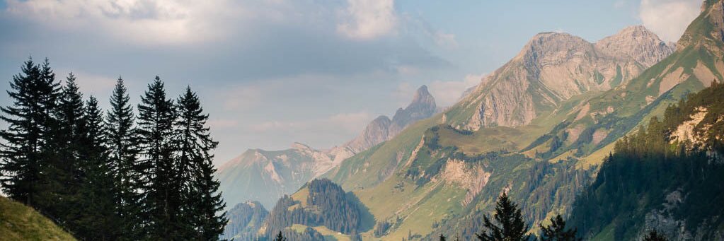 jess 🏠 banner